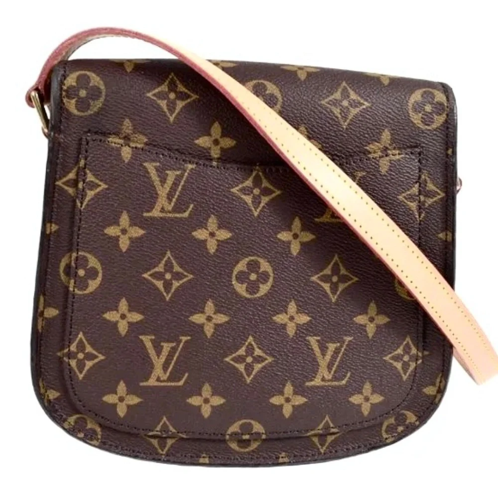 Louis Vuitton Saint Cloud MM Crossbody - Picture 7 of 13